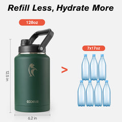 Insulated Gallon Jug with Spout Lid